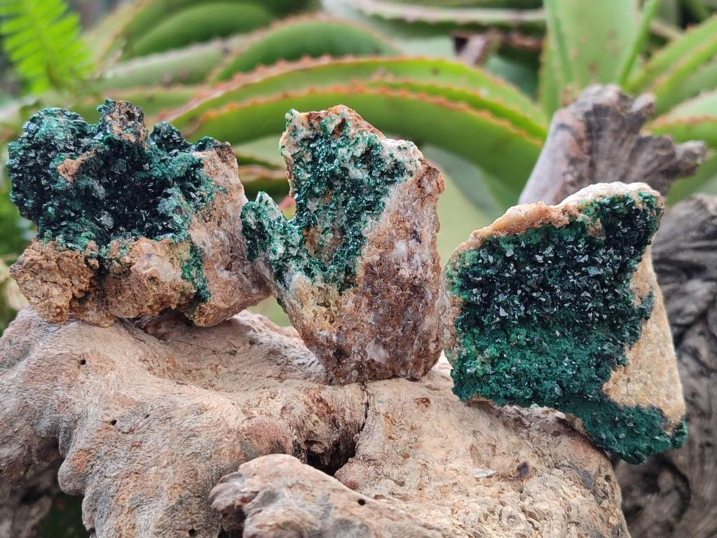 Natural Crystalline Malachite Specimens x 12 From Tenke Fungurume, Congo - Toprock Gemstones and Minerals 