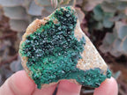 Natural Crystalline Malachite Specimens x 12 From Tenke Fungurume, Congo - Toprock Gemstones and Minerals 