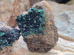 Natural Crystalline Malachite Specimens x 12 From Tenke Fungurume, Congo - Toprock Gemstones and Minerals 