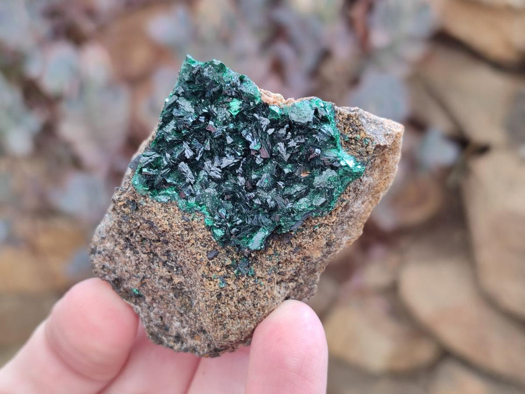 Natural Crystalline Malachite Specimens x 12 From Tenke Fungurume, Congo - Toprock Gemstones and Minerals 