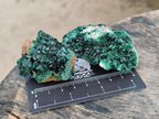 Natural Crystalline Malachite Specimens x 12 From Tenke Fungurume, Congo - Toprock Gemstones and Minerals 