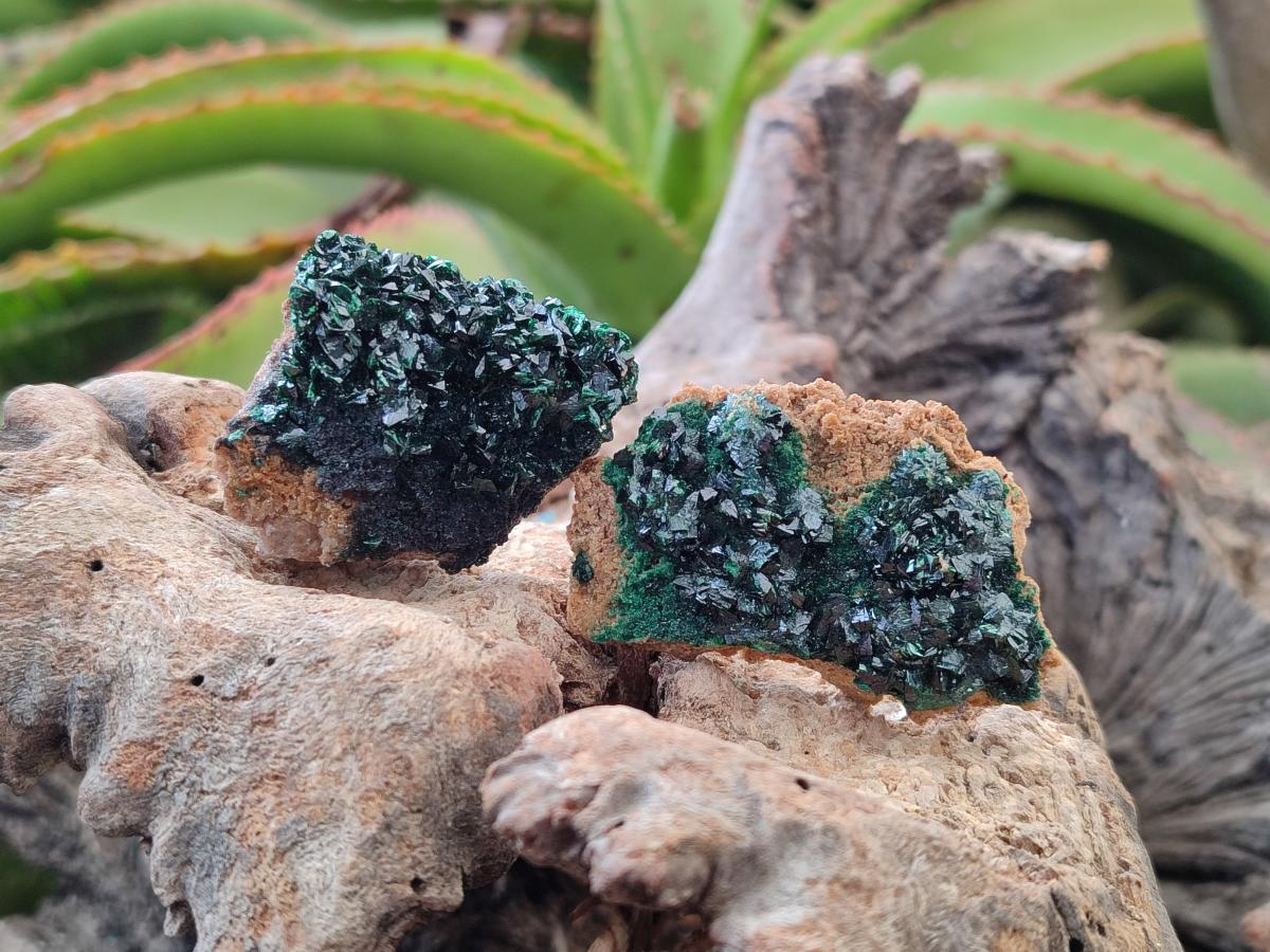 Natural Crystalline Malachite Specimens x 12 From Tenke Fungurume, Congo - Toprock Gemstones and Minerals 