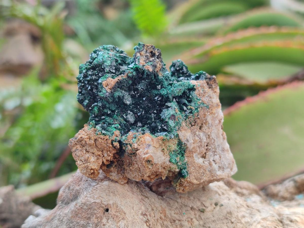 Natural Crystalline Malachite Specimens x 12 From Tenke Fungurume, Congo - Toprock Gemstones and Minerals 