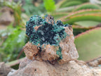 Natural Crystalline Malachite Specimens x 12 From Tenke Fungurume, Congo - Toprock Gemstones and Minerals 