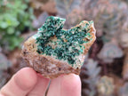 Natural Crystalline Malachite Specimens x 12 From Tenke Fungurume, Congo - Toprock Gemstones and Minerals 