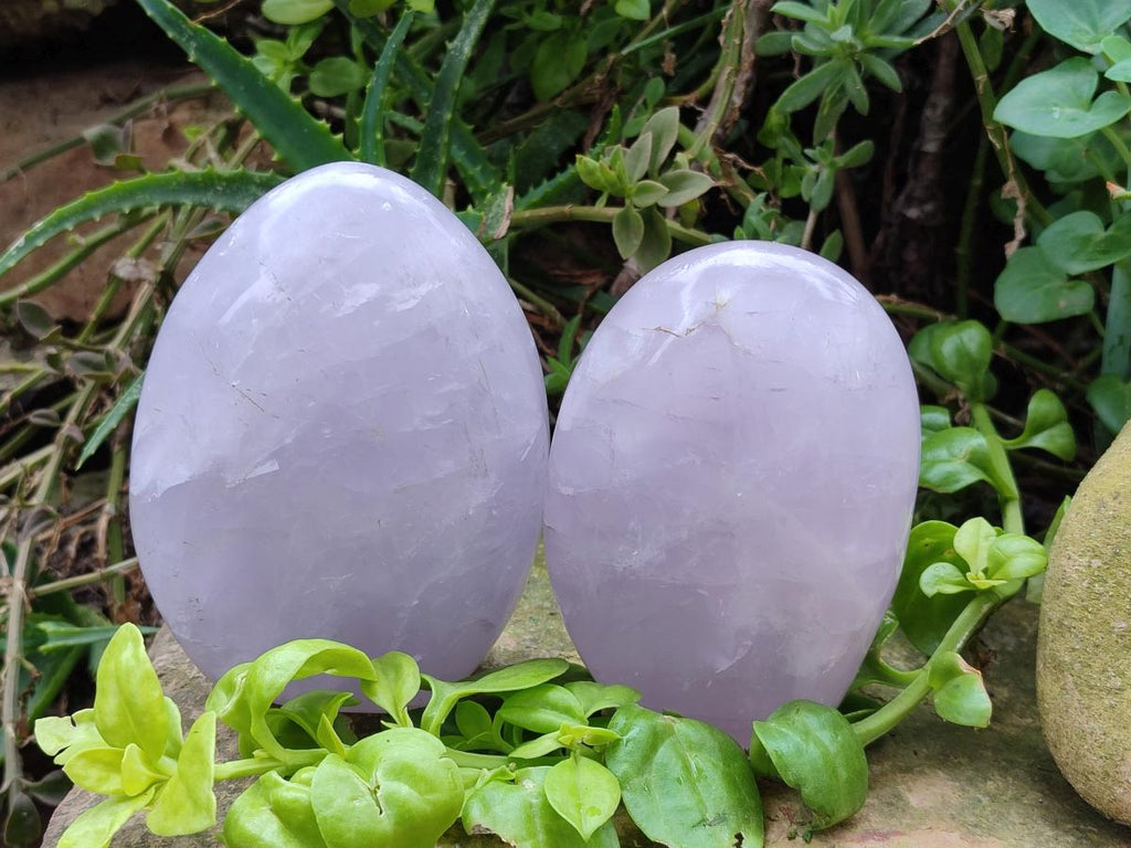 Polished Gemmy Rose Quartz Standing Display Pieces x 2 From Madagascar - Toprock Gemstones and Minerals 