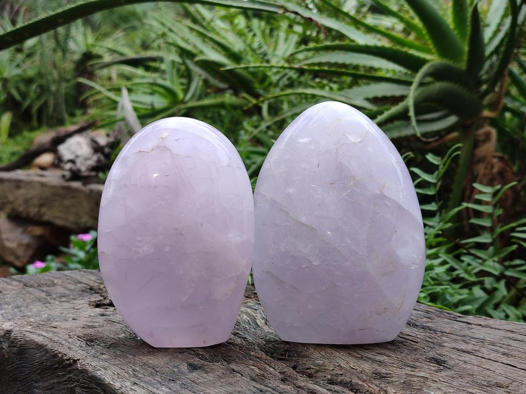 Polished Gemmy Rose Quartz Standing Display Pieces x 2 From Madagascar - Toprock Gemstones and Minerals 