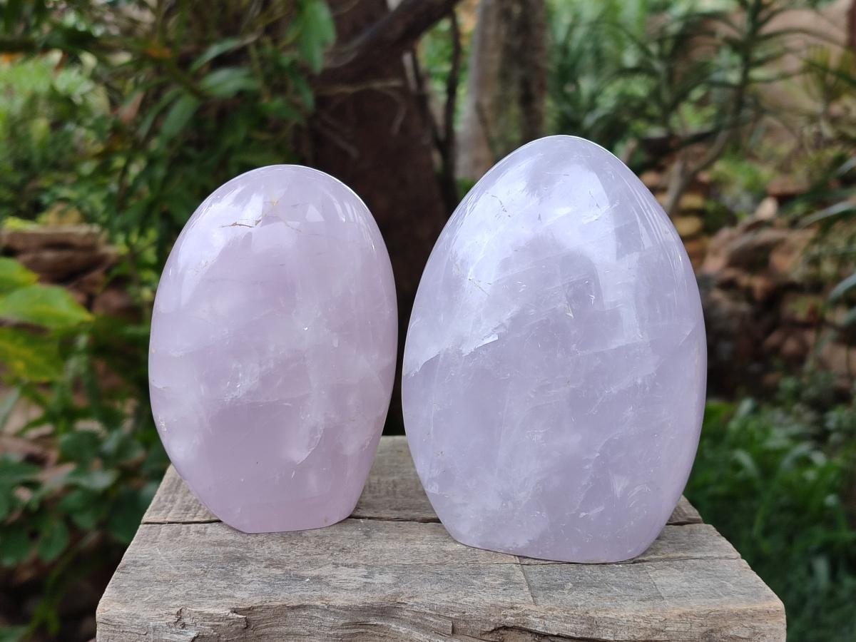 Polished Gemmy Rose Quartz Standing Display Pieces x 2 From Madagascar - Toprock Gemstones and Minerals 