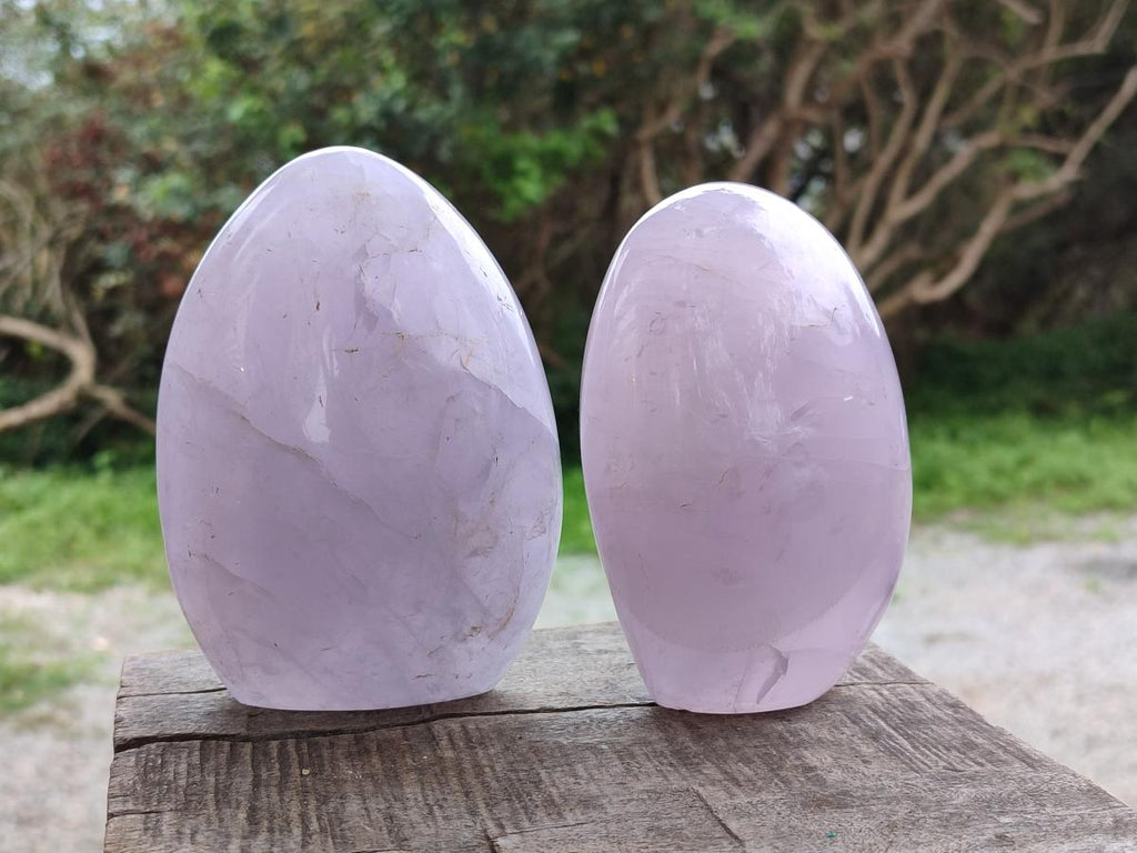 Polished Gemmy Rose Quartz Standing Display Pieces x 2 From Madagascar - Toprock Gemstones and Minerals 