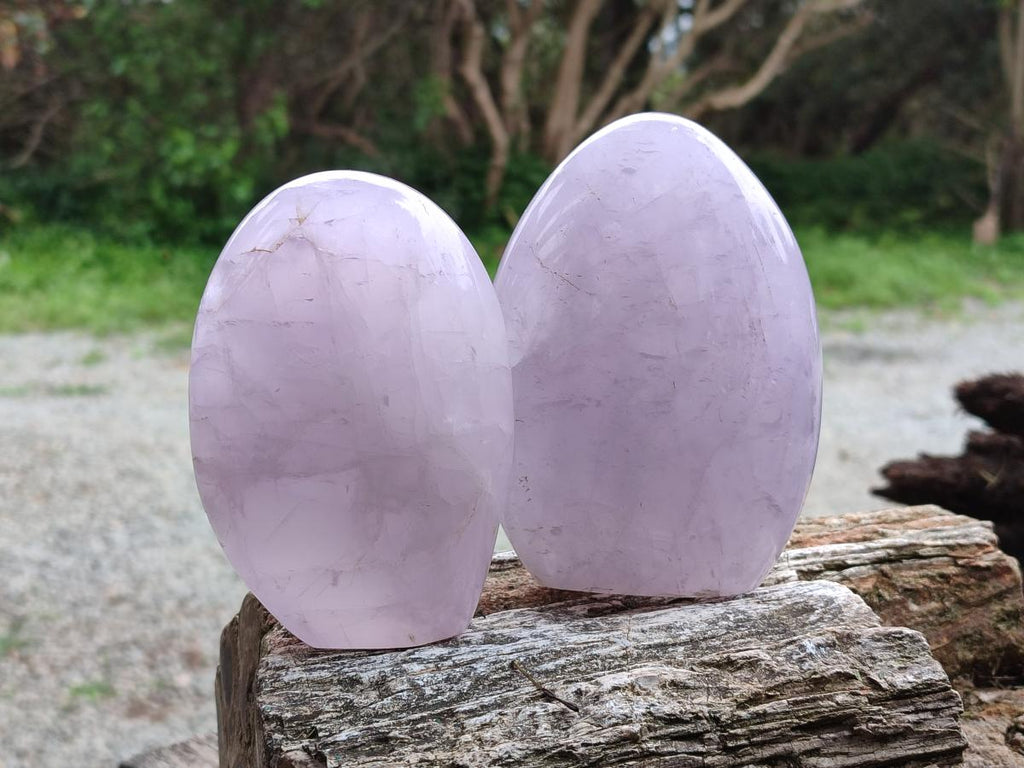 Polished Gemmy Rose Quartz Standing Display Pieces x 2 From Madagascar - Toprock Gemstones and Minerals 