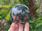 Polished Bloodstone Spheres x 2 From Swaziland - Toprock Gemstones and Minerals 