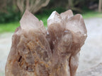 Natural Cascading White Phantom Smokey Luena Quartz Clusters x 3 From Luena, Congo - Toprock Gemstones and Minerals 