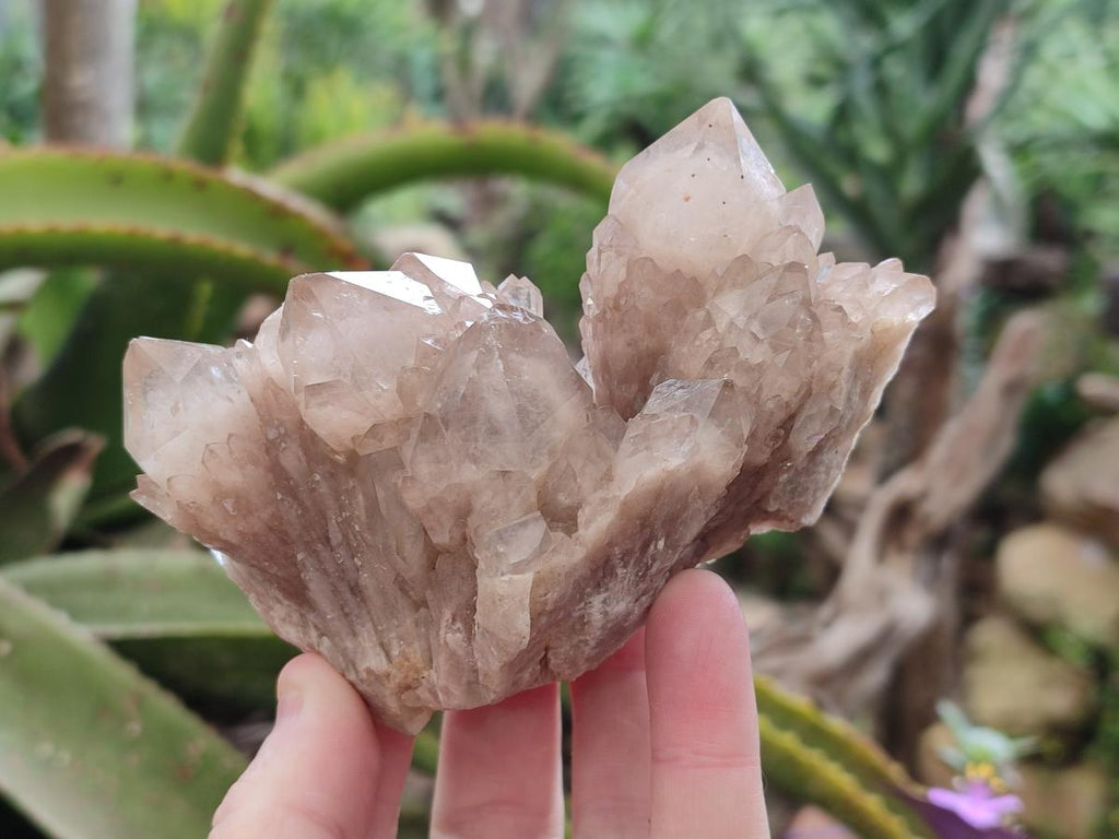 Natural Cascading White Phantom Smokey Luena Quartz Clusters x 3 From Luena, Congo - Toprock Gemstones and Minerals 