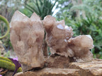 Natural Cascading White Phantom Smokey Luena Quartz Clusters x 3 From Luena, Congo - Toprock Gemstones and Minerals 