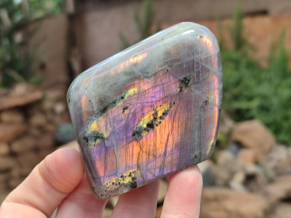 Polished Rare Purple Sunset Flash Labradorite Standing Display Pieces x 4 From Madagascar - Toprock Gemstones and Minerals 
