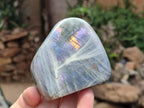 Polished Rare Purple Sunset Flash Labradorite Standing Display Pieces x 4 From Madagascar - Toprock Gemstones and Minerals 
