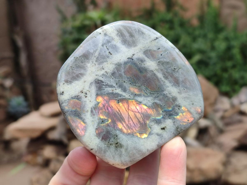 Polished Rare Purple Sunset Flash Labradorite Standing Display Pieces x 4 From Madagascar - Toprock Gemstones and Minerals 