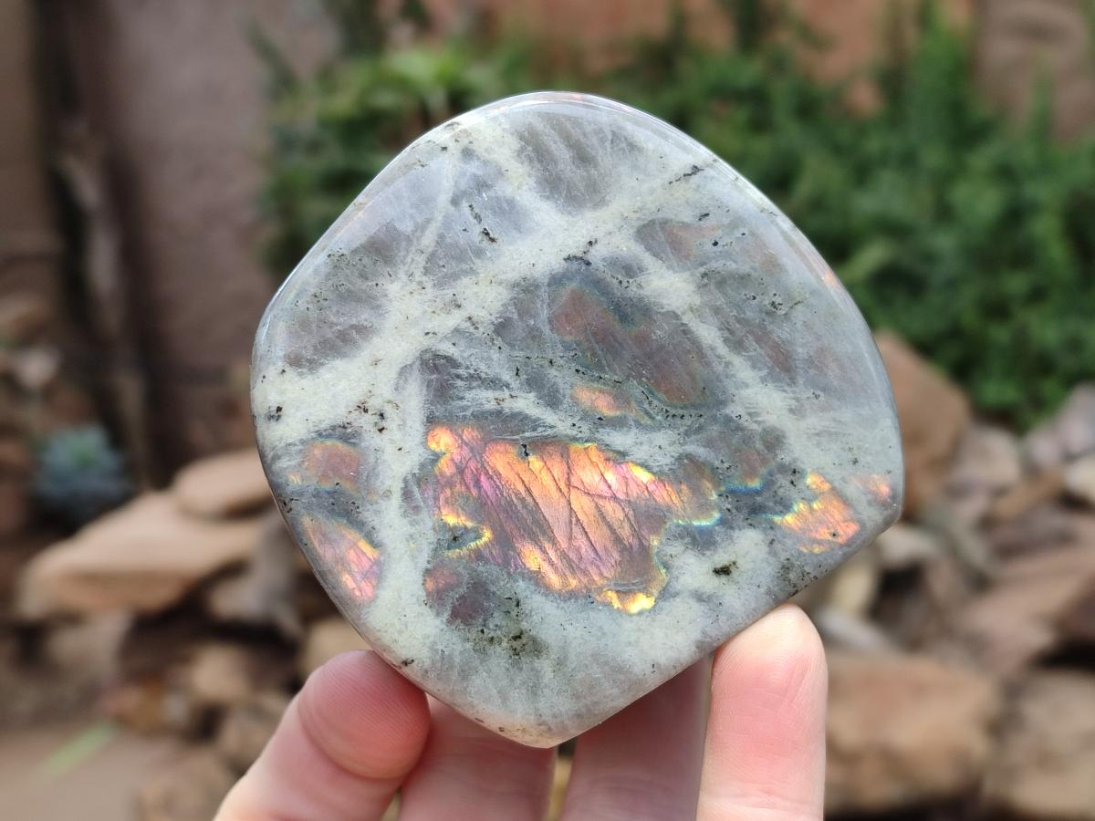 Polished Rare Purple Sunset Flash Labradorite Standing Display Pieces x 4 From Madagascar - Toprock Gemstones and Minerals 