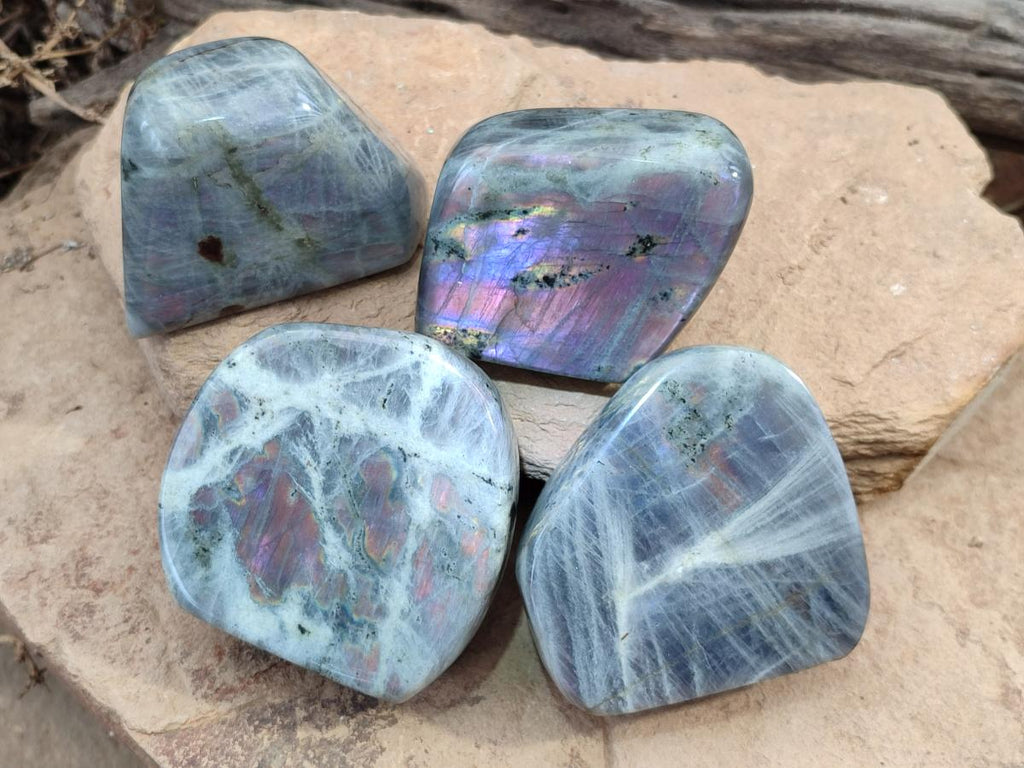Polished Rare Purple Sunset Flash Labradorite Standing Display Pieces x 4 From Madagascar - Toprock Gemstones and Minerals 