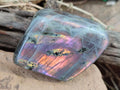 Polished Rare Purple Sunset Flash Labradorite Standing Display Pieces x 4 From Madagascar - Toprock Gemstones and Minerals 