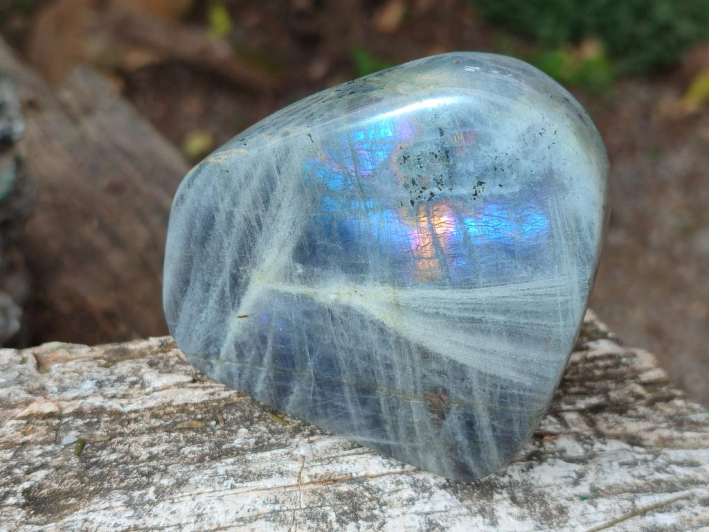 Polished Rare Purple Sunset Flash Labradorite Standing Display Pieces x 4 From Madagascar - Toprock Gemstones and Minerals 