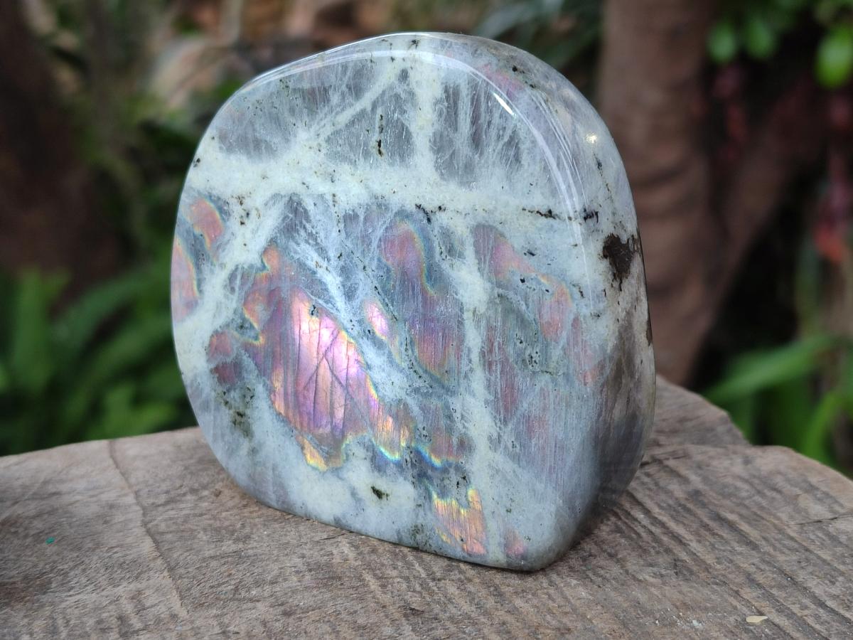 Polished Rare Purple Sunset Flash Labradorite Standing Display Pieces x 4 From Madagascar - Toprock Gemstones and Minerals 