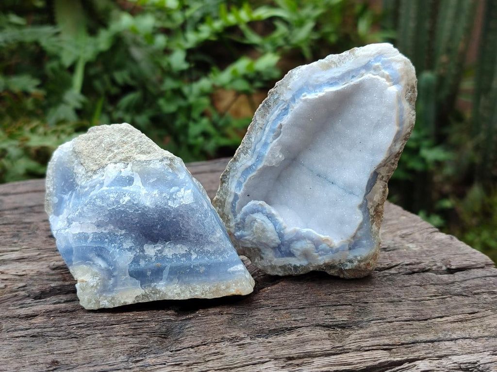 Natural Blue Lace Agate Geode Specimens x 12 From Nsanje, Malawi - Toprock Gemstones and Minerals 