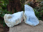 Natural Blue Lace Agate Geode Specimens x 12 From Nsanje, Malawi - Toprock Gemstones and Minerals 