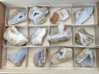 Natural Blue Lace Agate Geode Specimens x 12 From Nsanje, Malawi - Toprock Gemstones and Minerals 