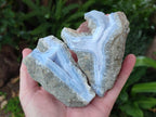 Natural Blue Lace Agate Geode Specimens x 12 From Nsanje, Malawi - Toprock Gemstones and Minerals 