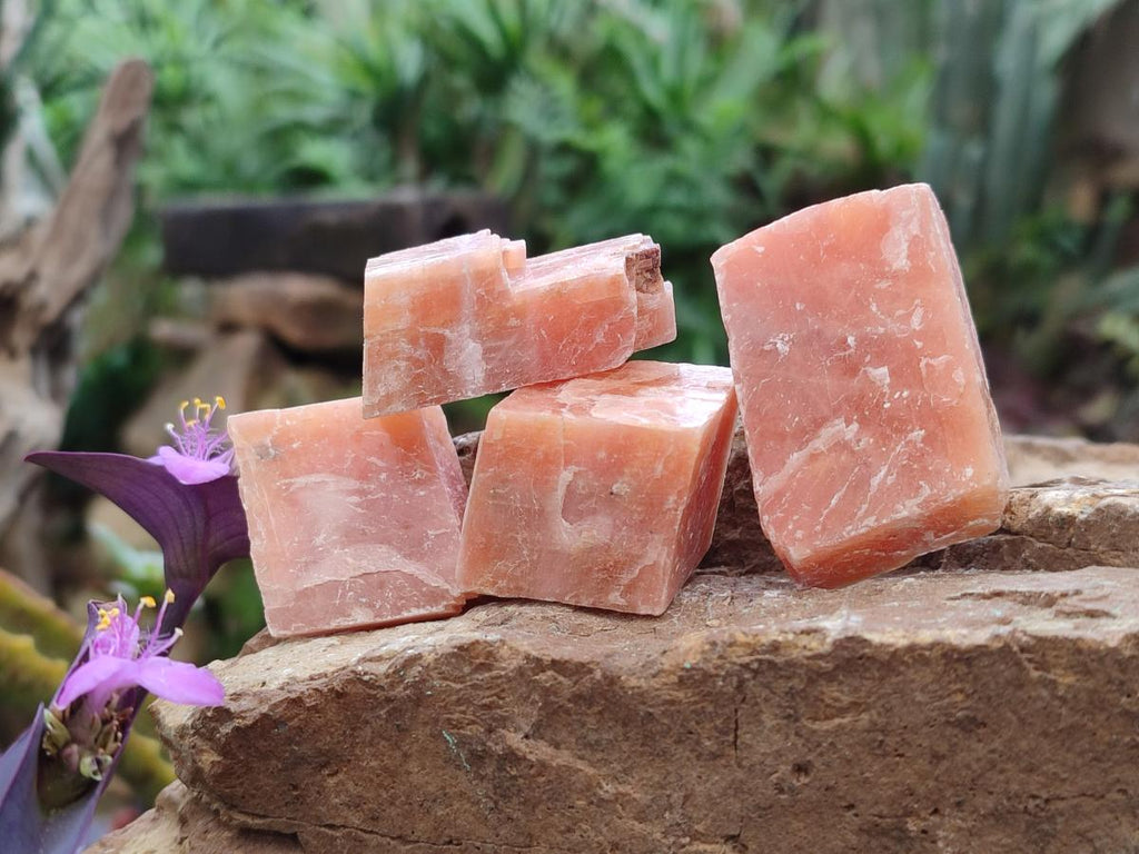 Natural Rhombohedral Sunset Orange Calcite Specimens x 35 From Spitzkop, Namibia - Toprock Gemstones and Minerals 