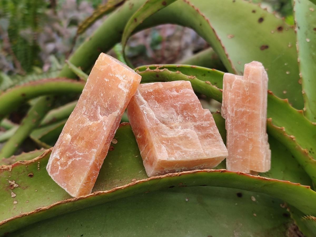 Natural Rhombohedral Sunset Orange Calcite Specimens x 35 From Spitzkop, Namibia - Toprock Gemstones and Minerals 