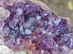 Natural Amethyst Agate Geodes x 6 From Zululand, South Africa - Toprock Gemstones and Minerals 