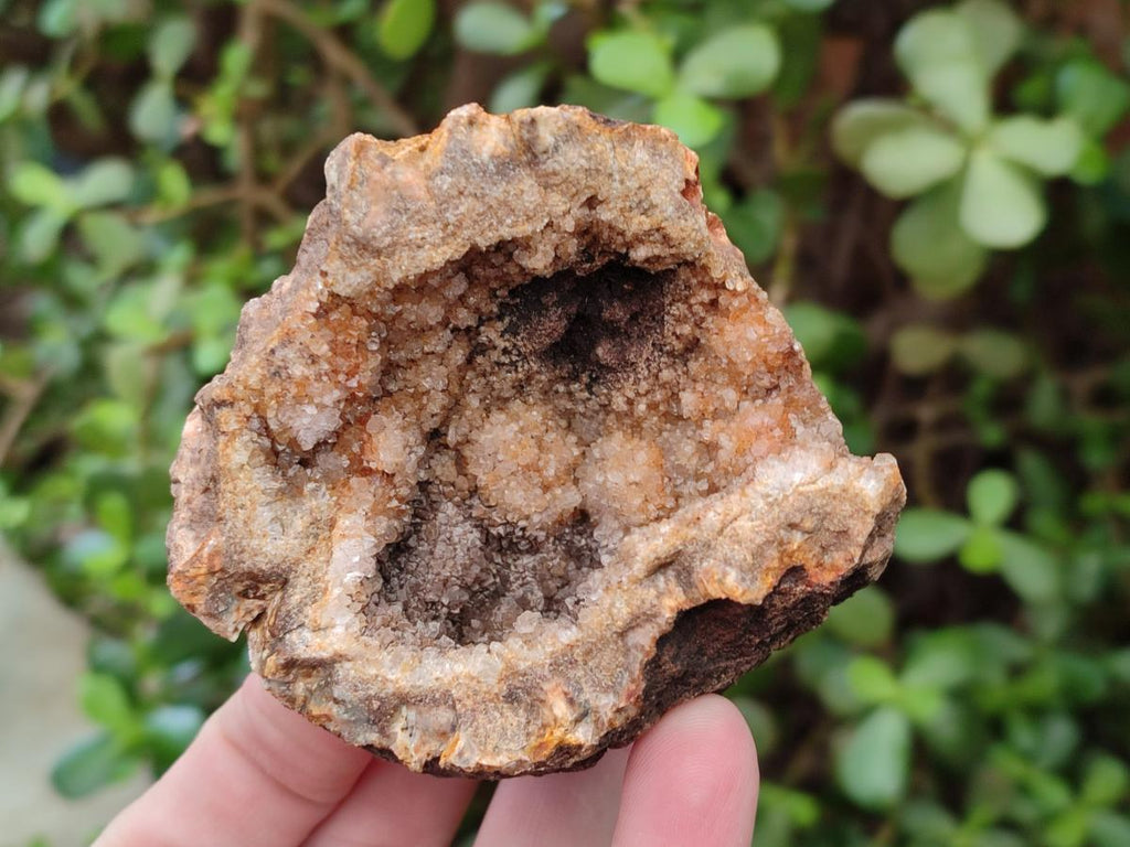 Natural Amethyst Agate Geodes x 6 From Zululand, South Africa - Toprock Gemstones and Minerals 