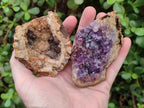 Natural Amethyst Agate Geodes x 6 From Zululand, South Africa - Toprock Gemstones and Minerals 