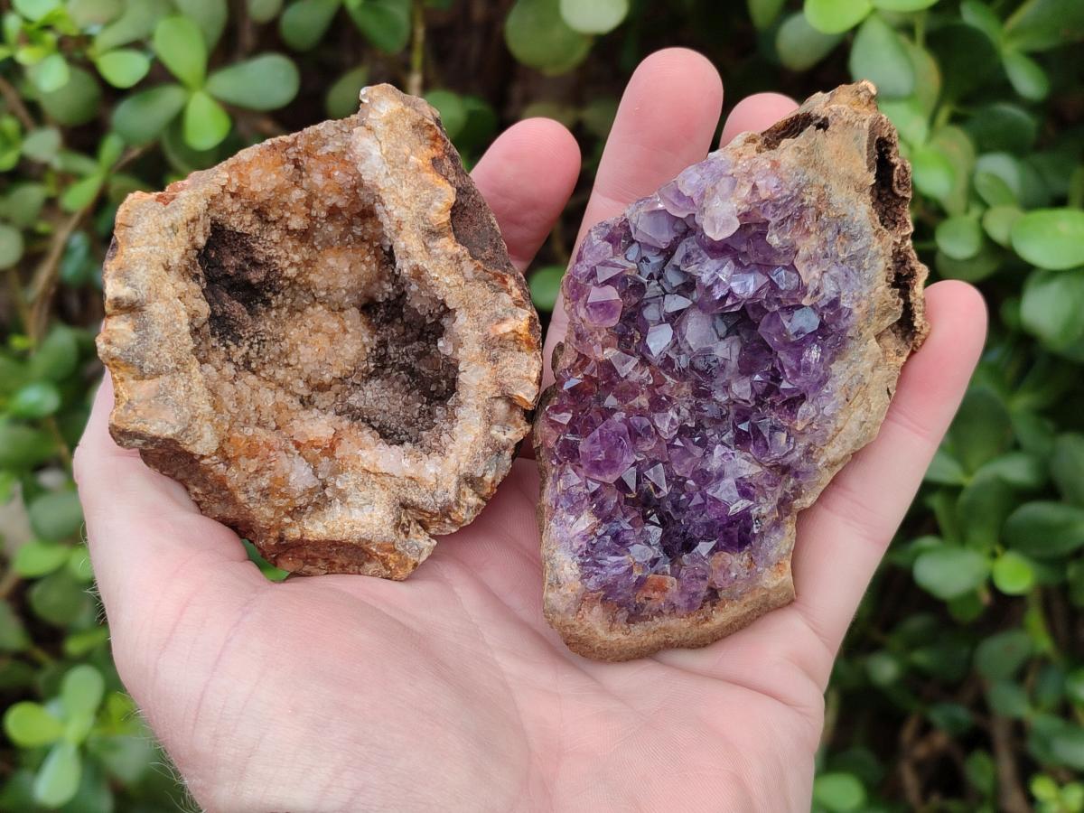 Natural Amethyst Agate Geodes x 6 From Zululand, South Africa - Toprock Gemstones and Minerals 