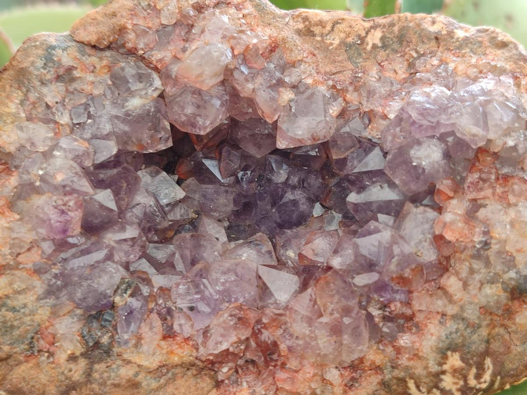 Natural Amethyst Agate Geodes x 6 From Zululand, South Africa - Toprock Gemstones and Minerals 