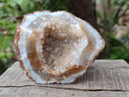 Natural Amethyst Agate Geodes x 6 From Zululand, South Africa - Toprock Gemstones and Minerals 