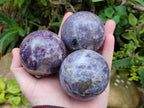 Polished Lepidolite Spheres x 6 From Ambatondrazaka, Madagascar - Toprock Gemstones and Minerals 