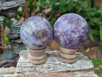 Polished Lepidolite Spheres x 6 From Ambatondrazaka, Madagascar - Toprock Gemstones and Minerals 