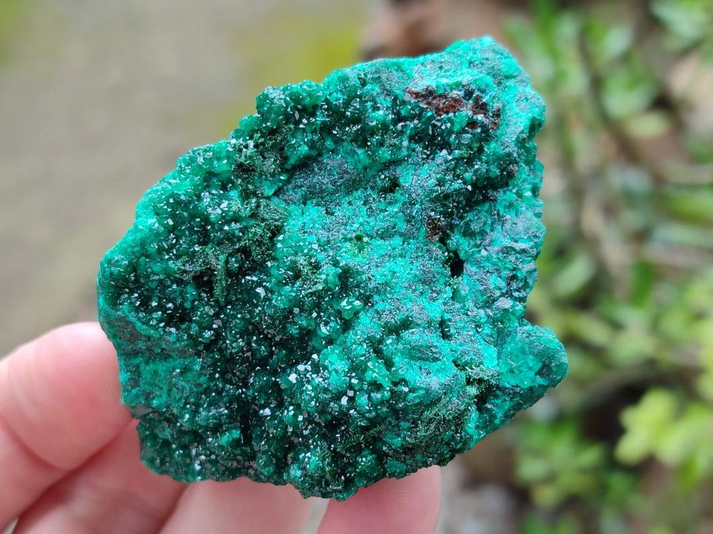 Natural Dioptase on Dolomite Specimens x 6 From Likasi, Congo - Toprock Gemstones and Minerals 