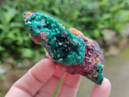 Natural Dioptase on Dolomite Specimens x 6 From Likasi, Congo - Toprock Gemstones and Minerals 