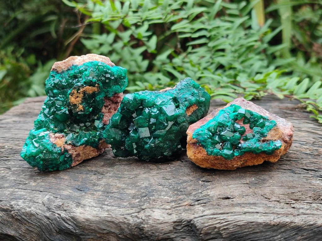 Natural Dioptase on Dolomite Specimens x 6 From Likasi, Congo - Toprock Gemstones and Minerals 