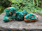 Natural Dioptase on Dolomite Specimens x 6 From Likasi, Congo - Toprock Gemstones and Minerals 