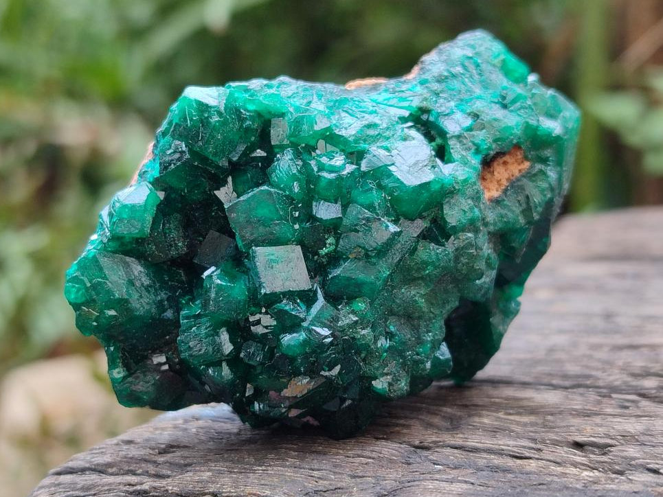 Natural Dioptase on Dolomite Specimens x 6 From Likasi, Congo - Toprock Gemstones and Minerals 