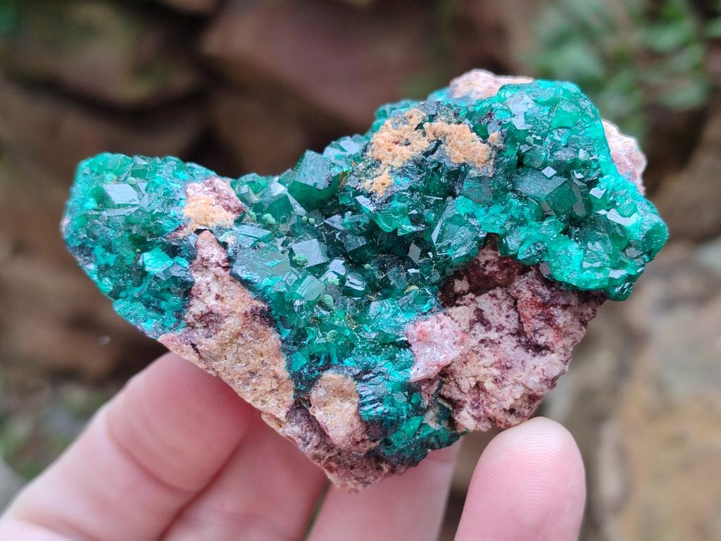 Natural Dioptase on Dolomite Specimens x 6 From Likasi, Congo - Toprock Gemstones and Minerals 