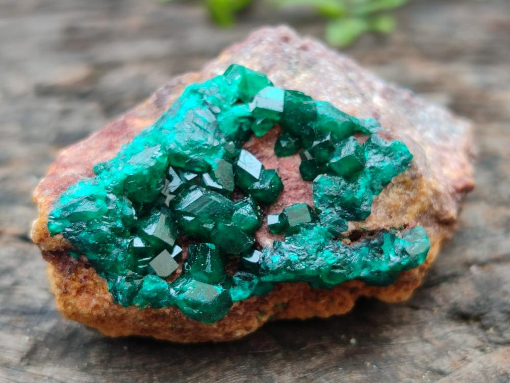 Natural Dioptase on Dolomite Specimens x 6 From Likasi, Congo - Toprock Gemstones and Minerals 