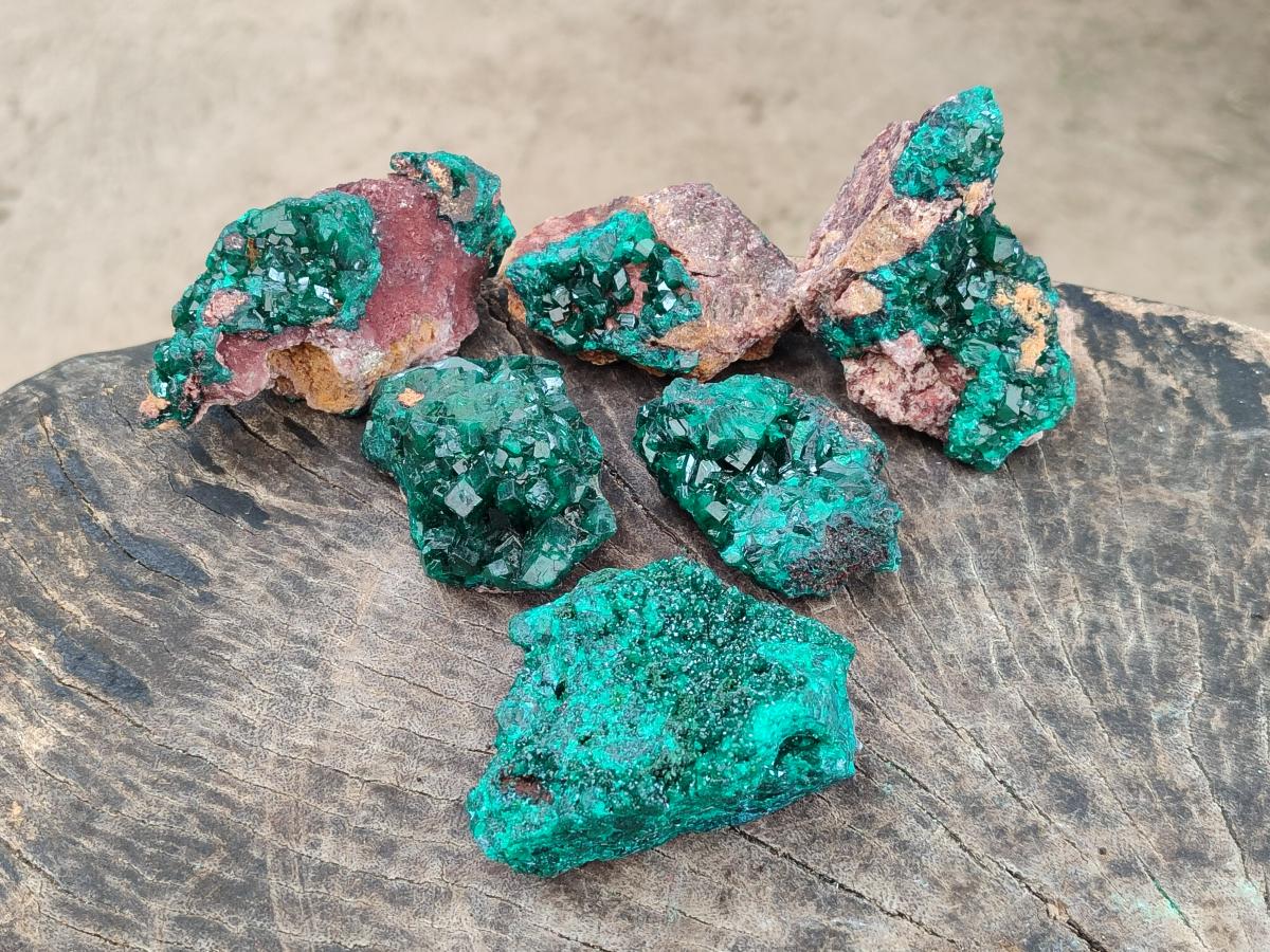 Natural Dioptase on Dolomite Specimens x 6 From Likasi, Congo - Toprock Gemstones and Minerals 