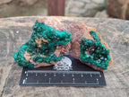 Natural Dioptase on Dolomite Specimens x 6 From Likasi, Congo - Toprock Gemstones and Minerals 