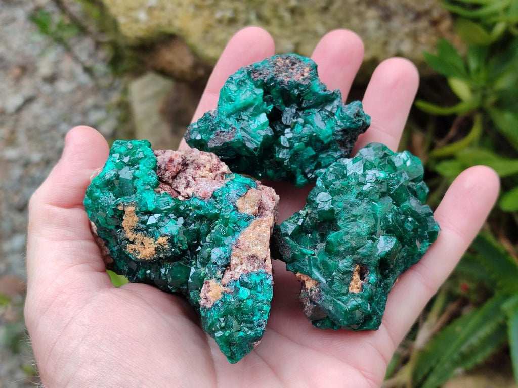Natural Dioptase on Dolomite Specimens x 6 From Likasi, Congo - Toprock Gemstones and Minerals 